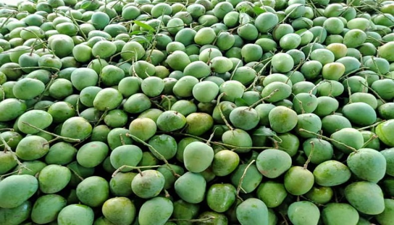 Mango 5