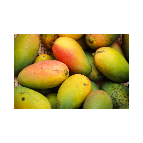 Mango 5